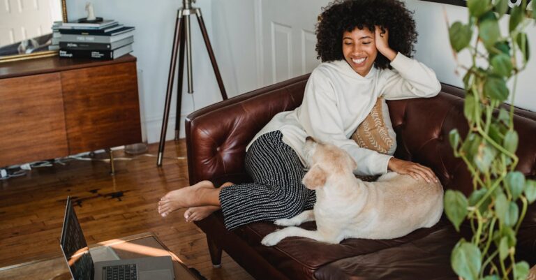 Is Gravitis Pet Dryer the Most Efficient Tool for Your Furry Friend?
